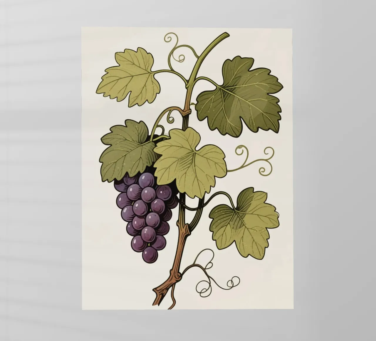 Pianta d'uva pellicola backlit da knowledge