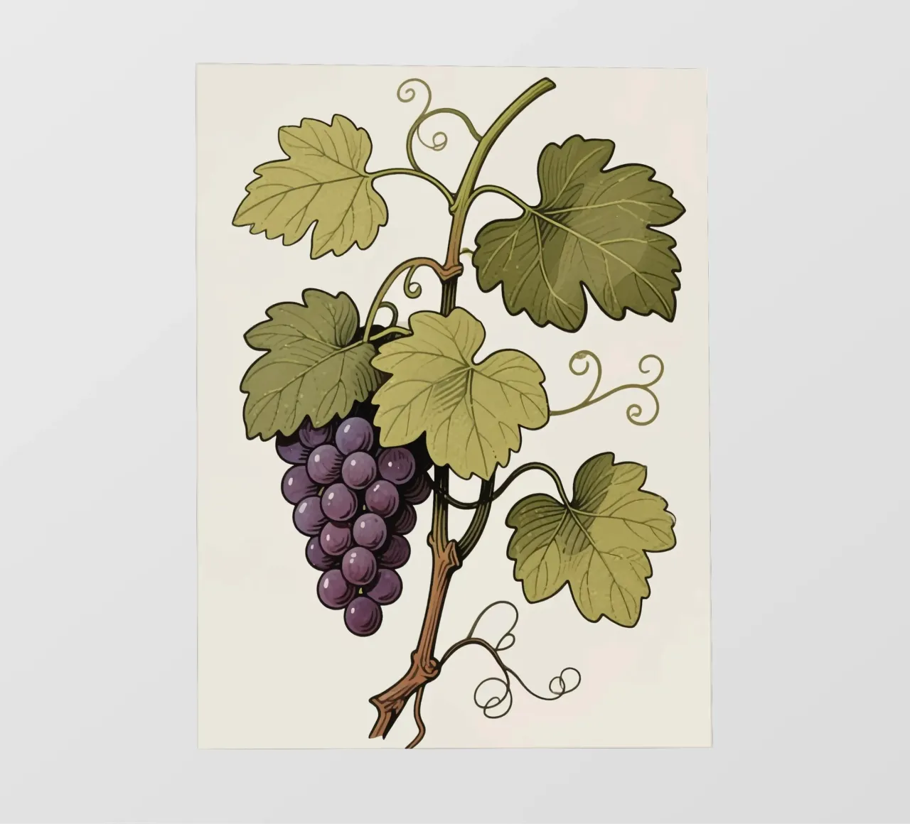 Pianta d'uva pellicola backlit da knowledge