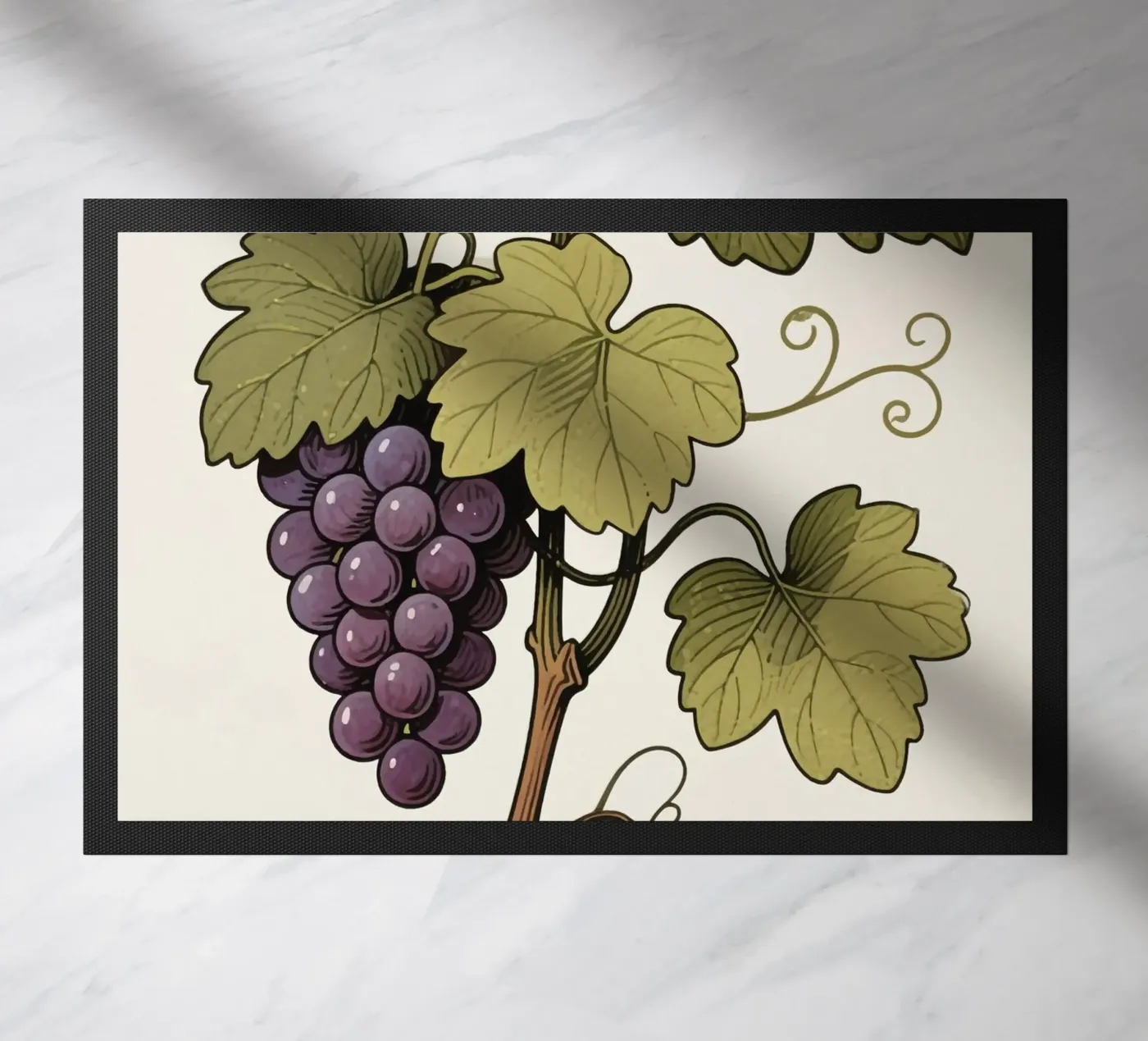 Pianta d'uva zerbino da knowledge