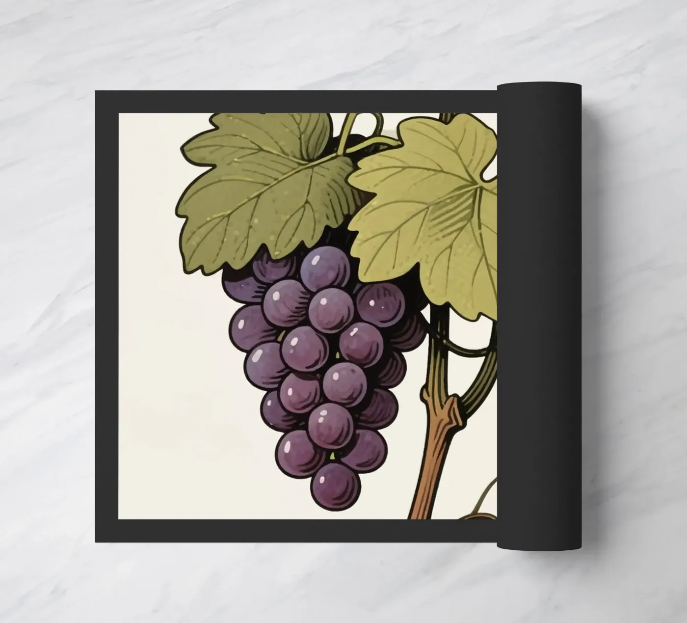 Pianta d'uva zerbino da knowledge