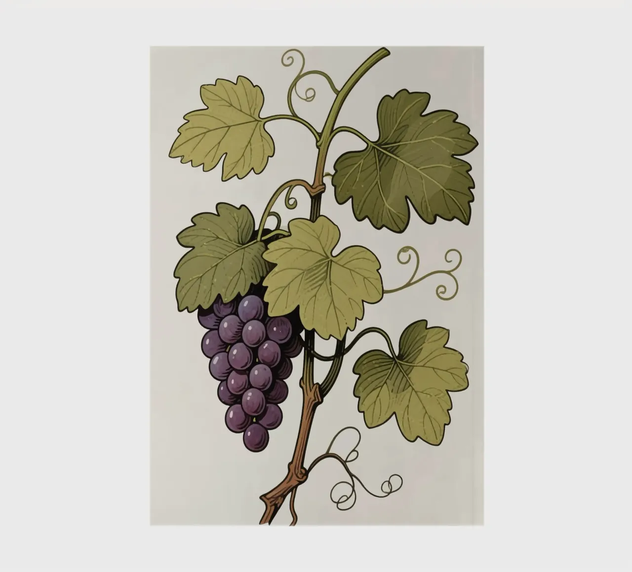 Pianta d'uva diario da knowledge