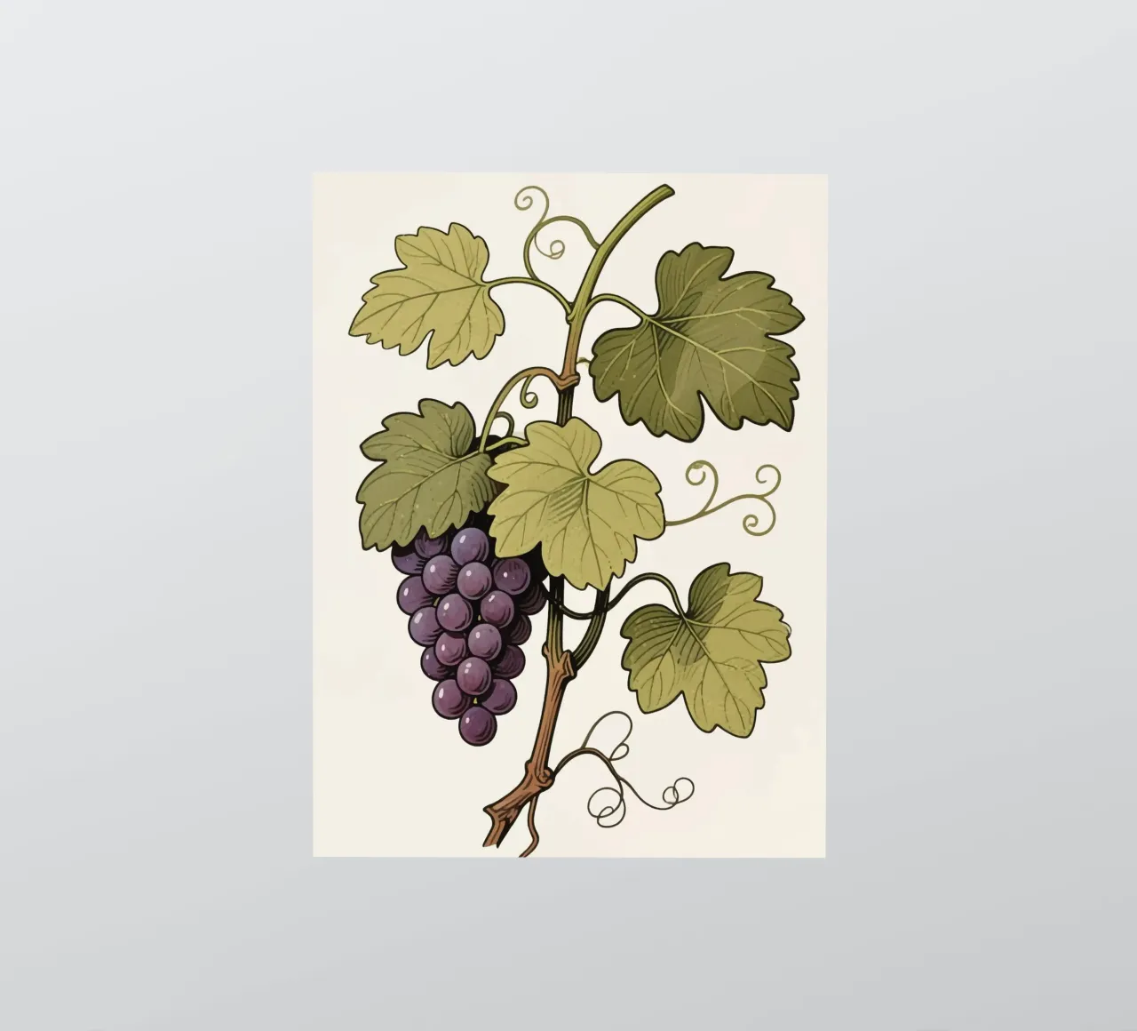 Pianta d'uva adesivo da knowledge