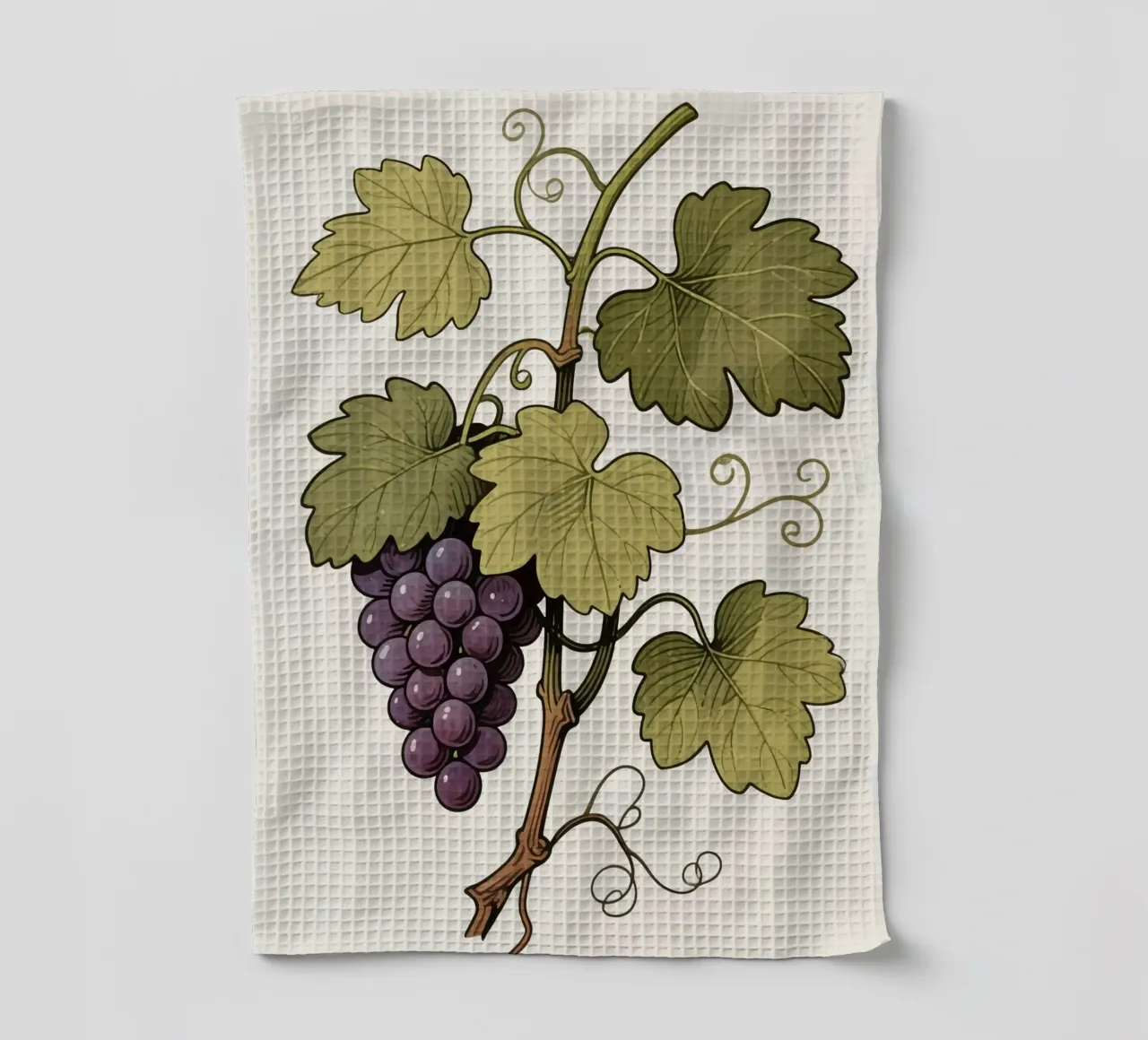 Pianta d'uva canovaccio da cucina da knowledge