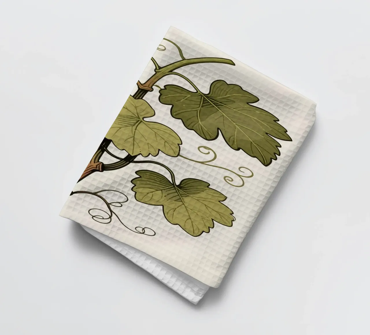 Pianta d'uva canovaccio da cucina da knowledge