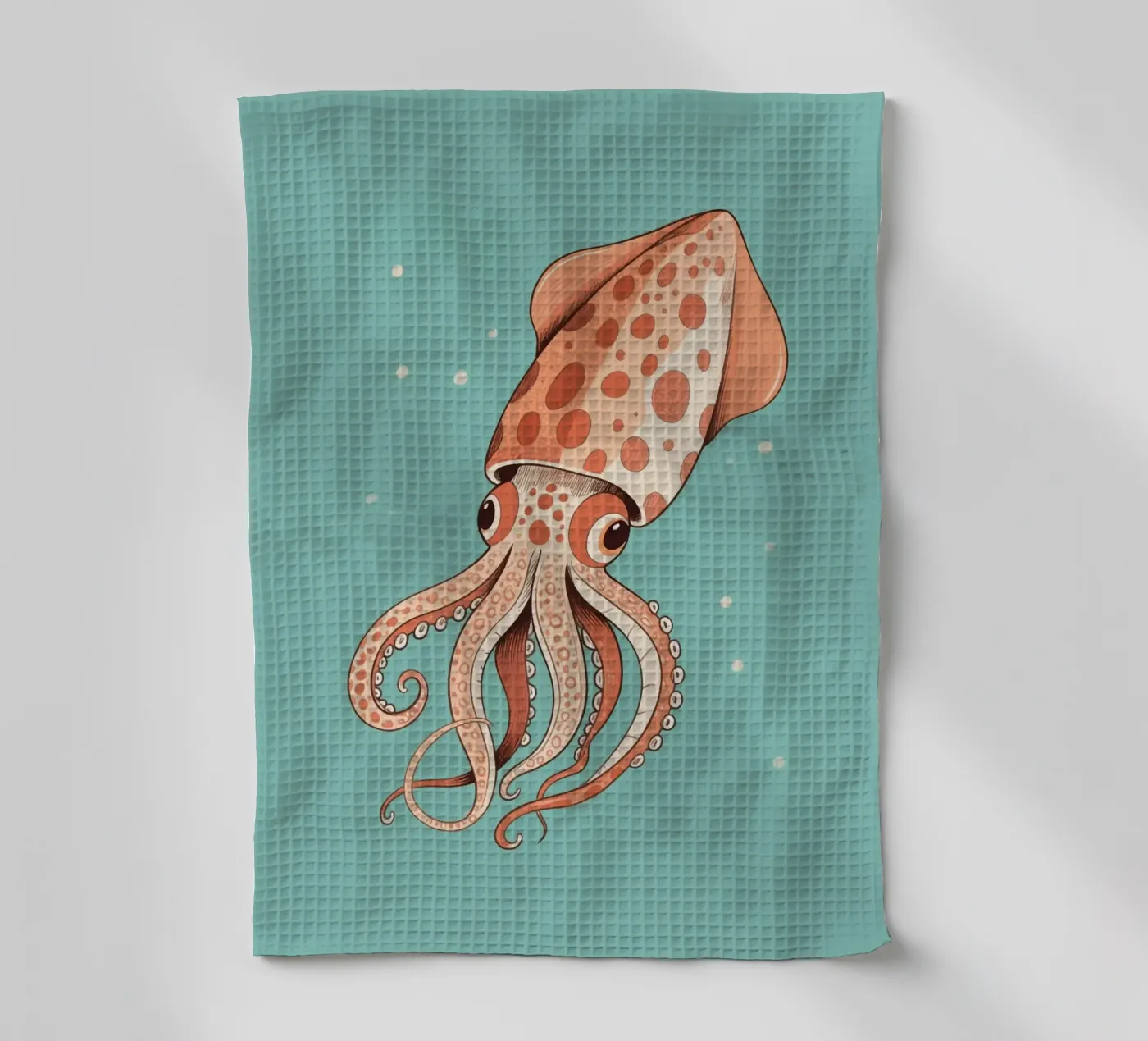 Cuttlefish torchon de knowledge