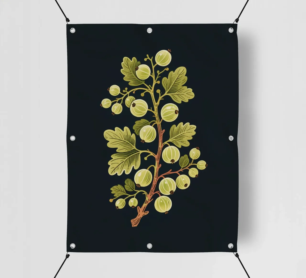 Uva spina telo in pvc da knowledge