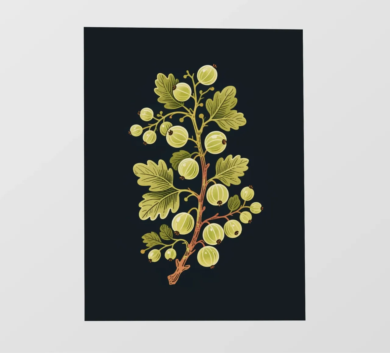 Uva spina telo in pvc da knowledge