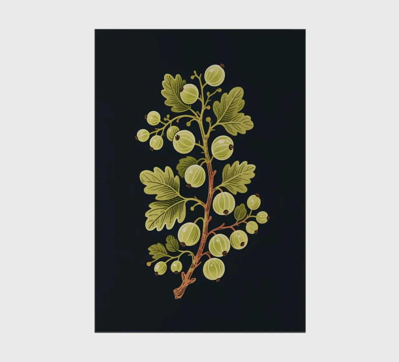 Uva spina diario da knowledge