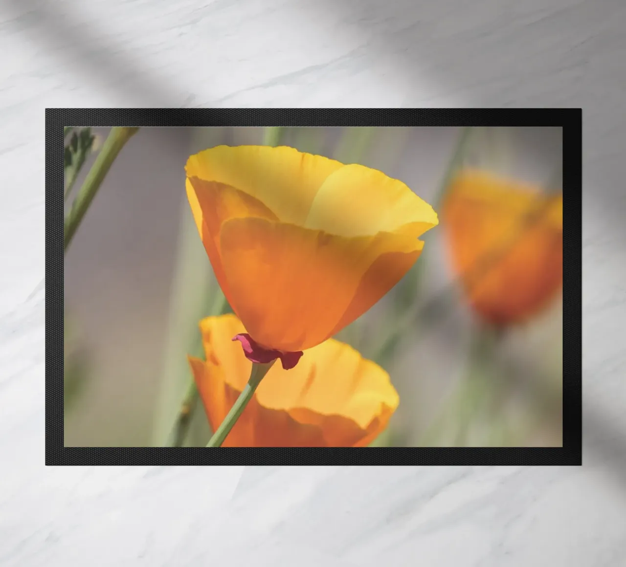 Yellow Flora zerbino da Dave Hare Photography