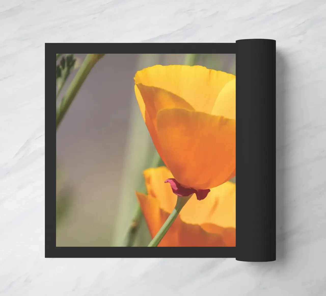 Yellow Flora zerbino da Dave Hare Photography