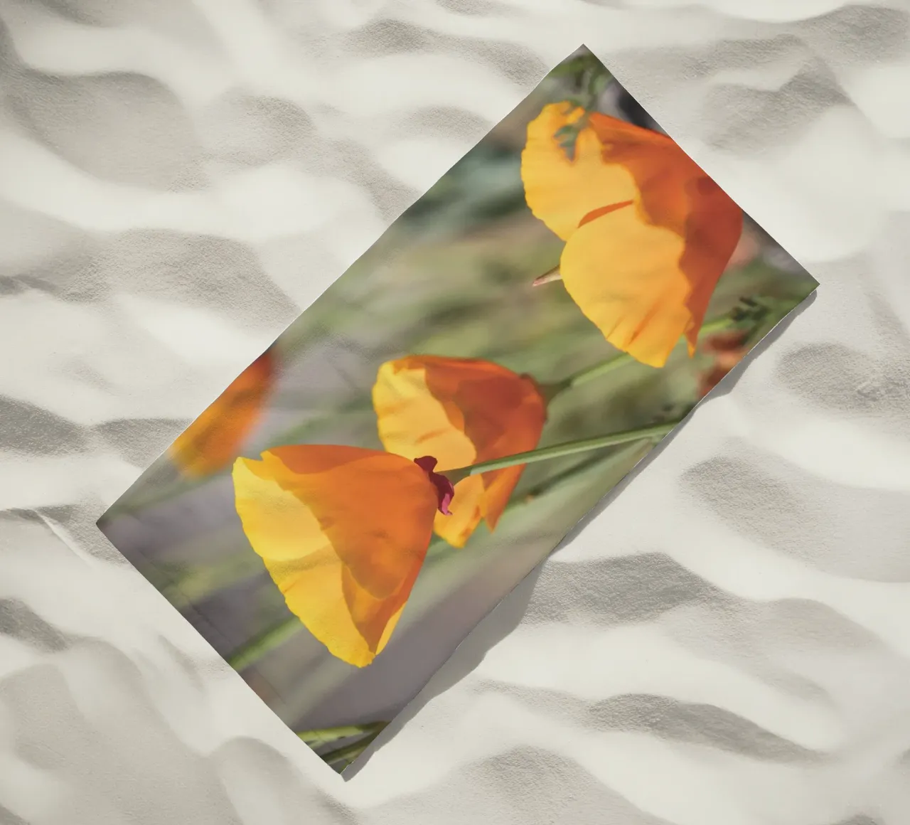 Yellow Flora telo mare da Dave Hare Photography