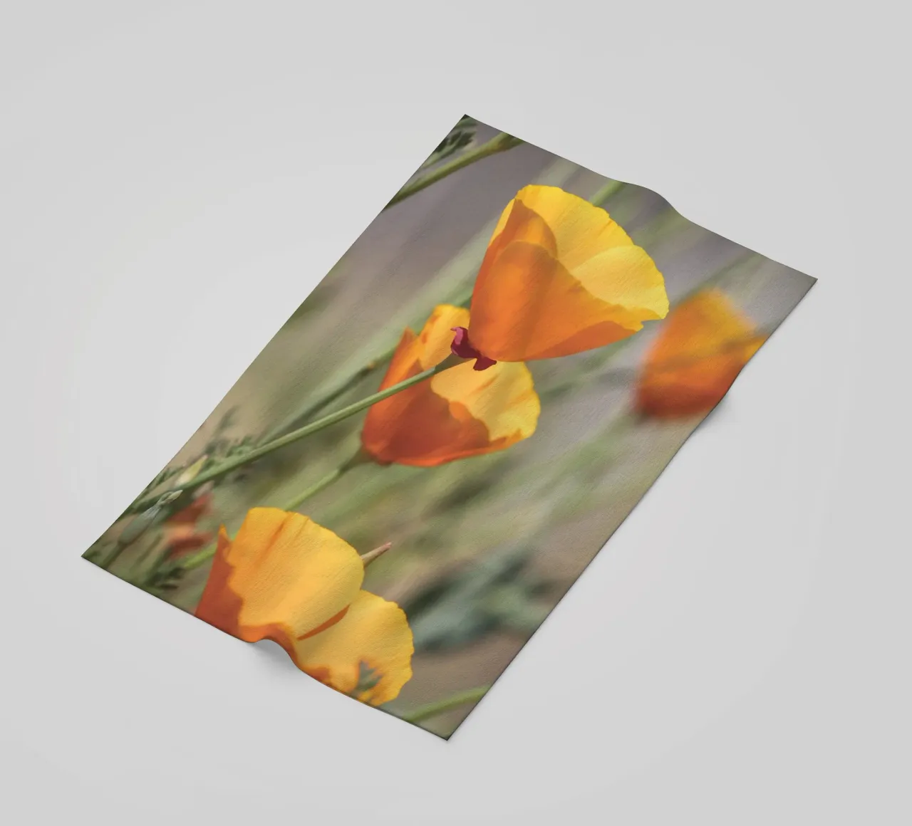 Yellow Flora telo mare da Dave Hare Photography