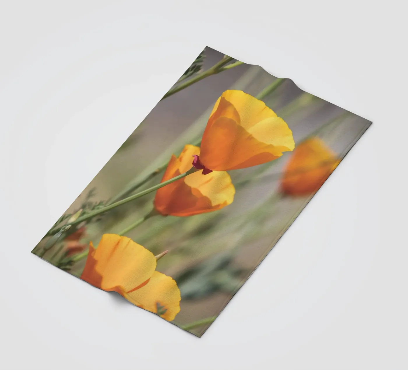 Yellow Flora Fleecedecke von Dave Hare Photography