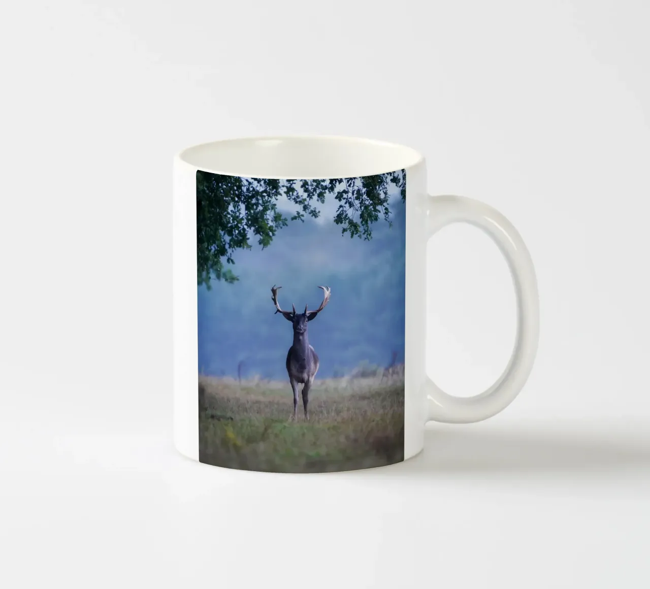 Daim dans ma forêt préférée mug en céramique de Tom's Wildlife