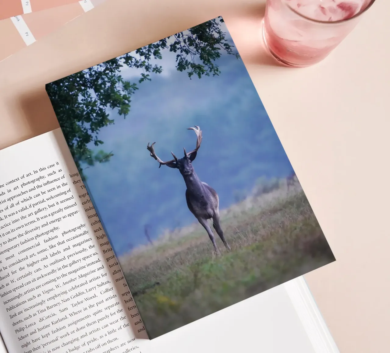 Daim dans ma forêt préférée carnet de notes de Tom's Wildlife