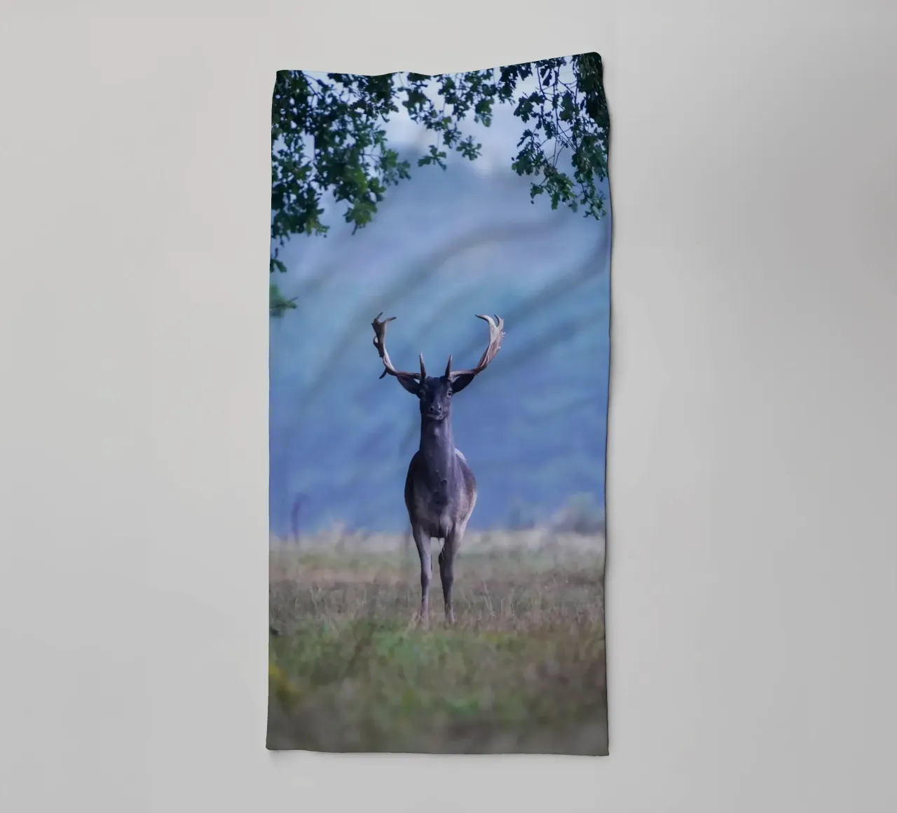 Daim dans ma forêt préférée serviette de bain de Tom's Wildlife