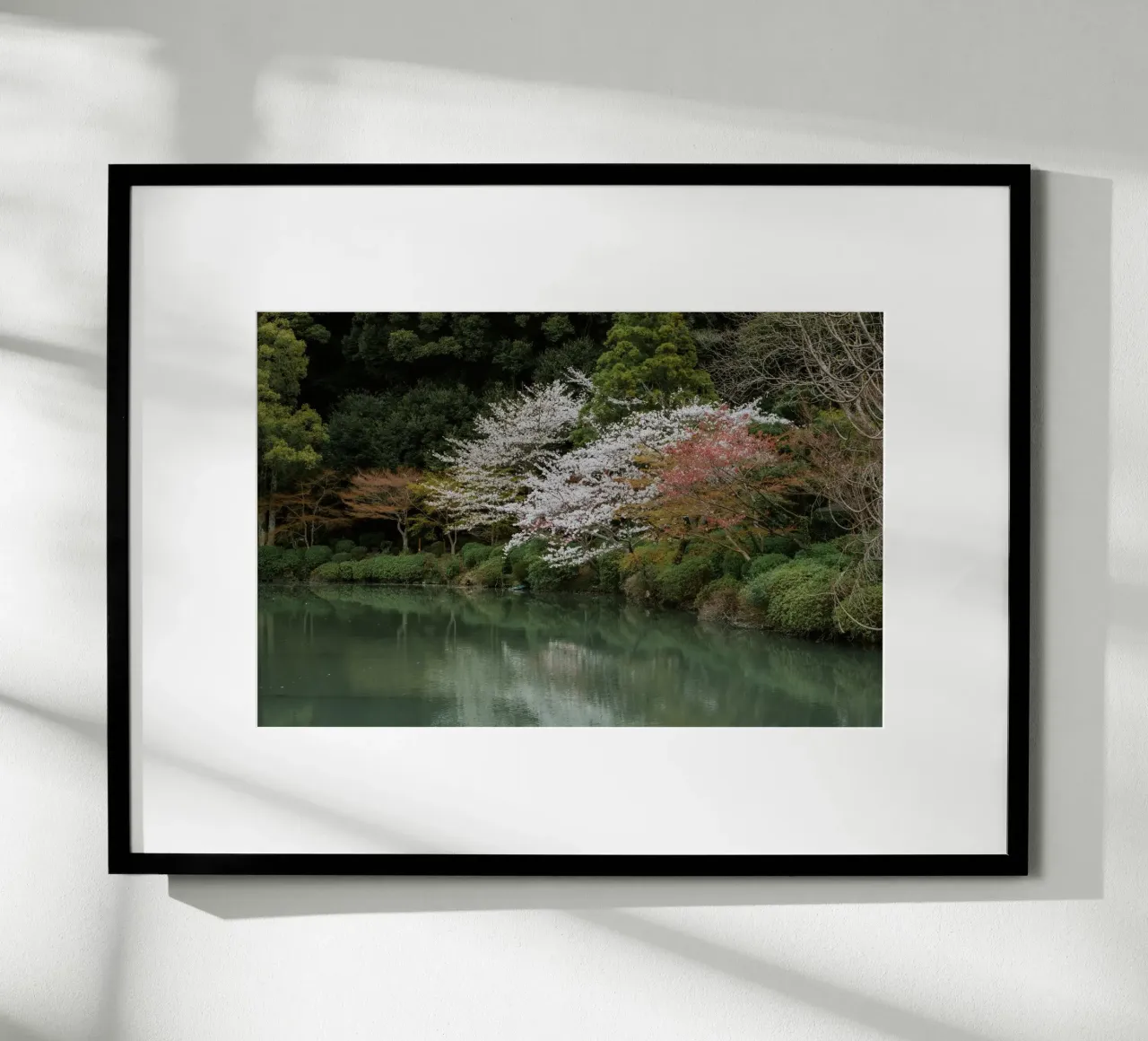Laghetto dei ciliegi in fiore a Beppu, Giappone carta hahnemühle da Marcel Bisig