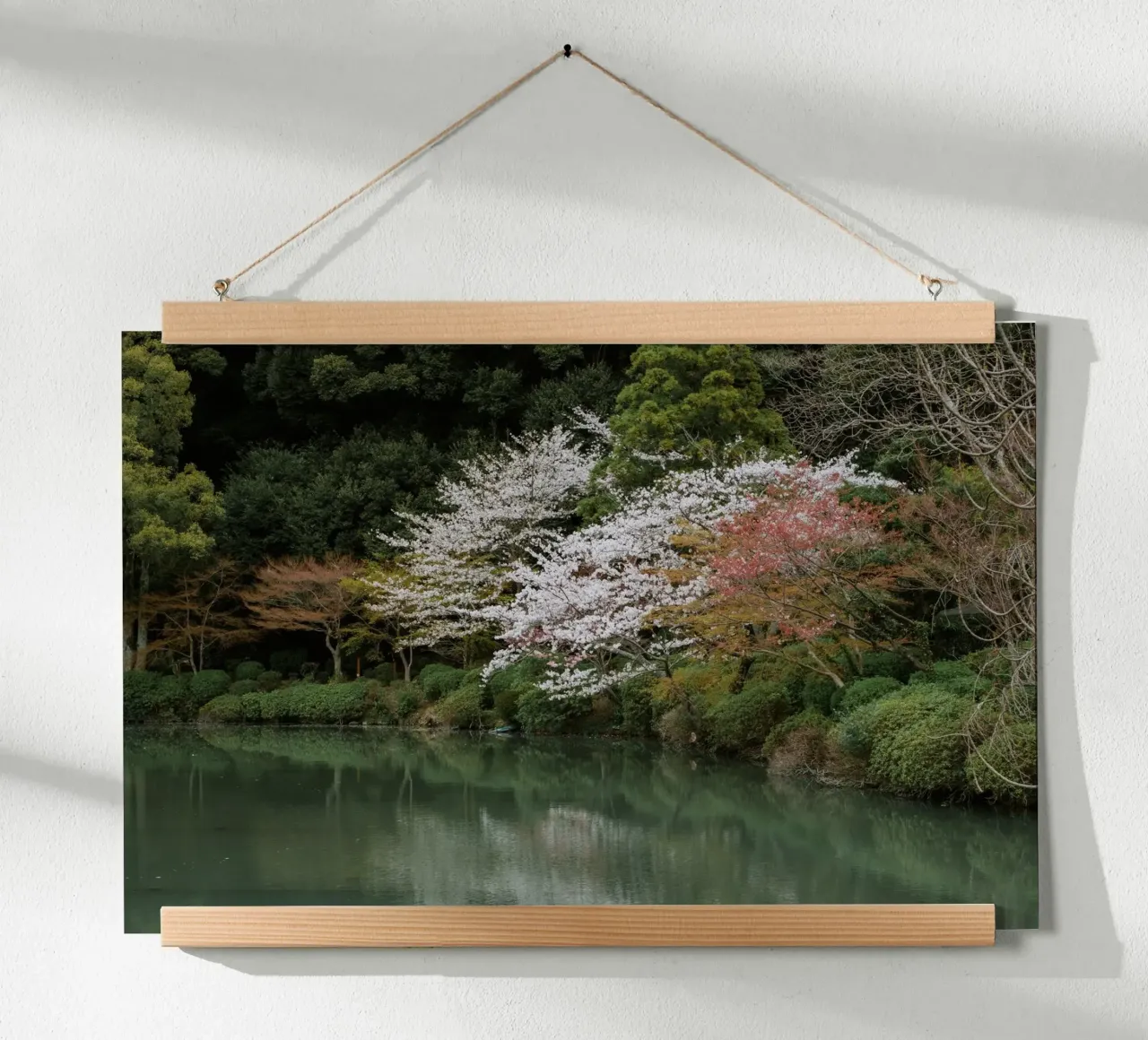 Laghetto dei ciliegi in fiore a Beppu, Giappone carta hahnemühle da Marcel Bisig