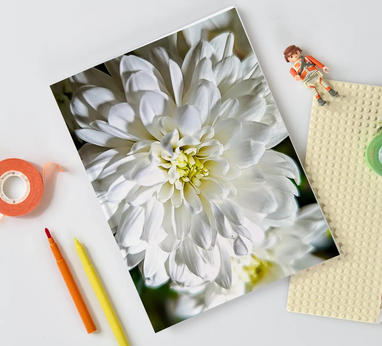 White Chrysanthemum Bloom – Fine Art Print notebook by jay