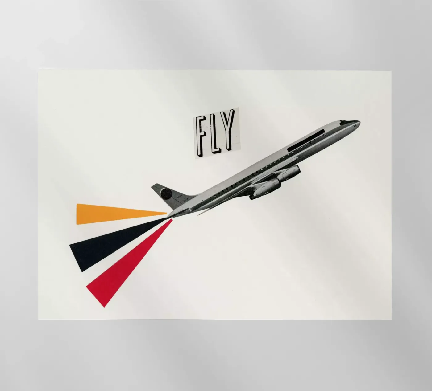 Fly backlit film by Cassia Beck Collage