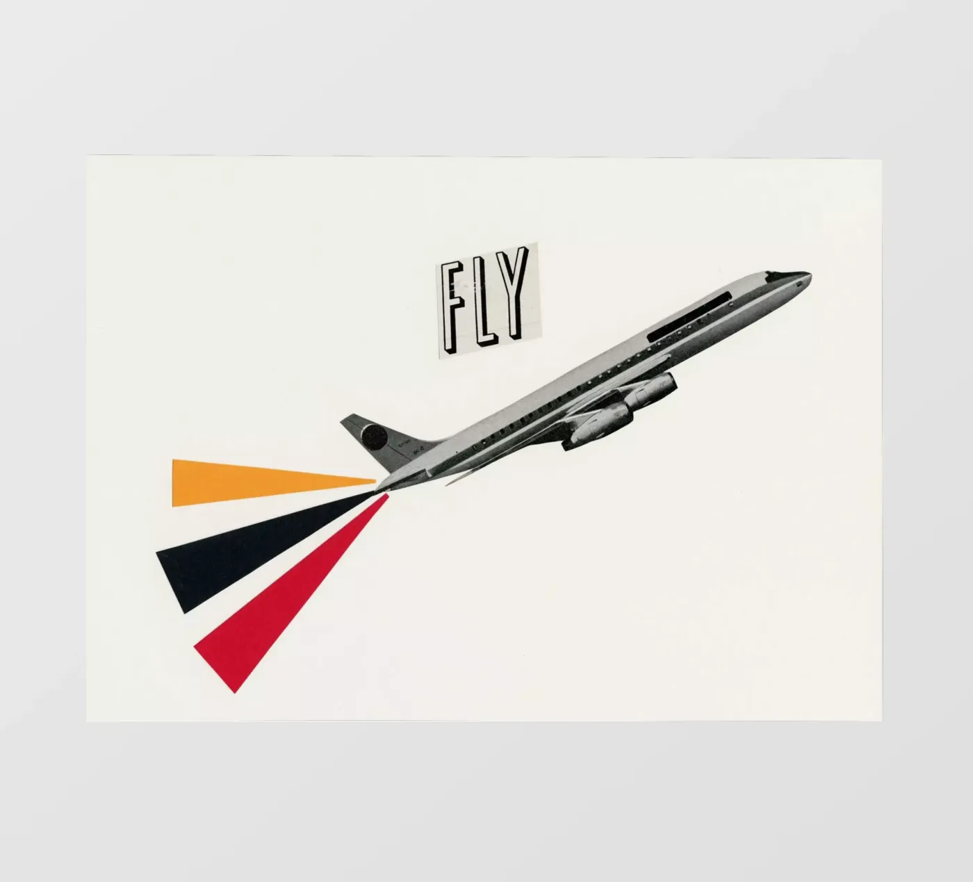 Fly backlit film by Cassia Beck Collage