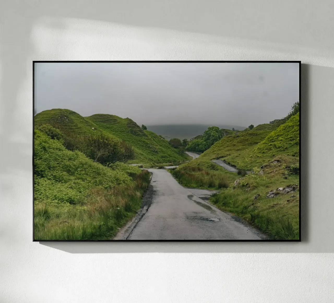 Winding Wilderness plexiglass da Lena Stamm