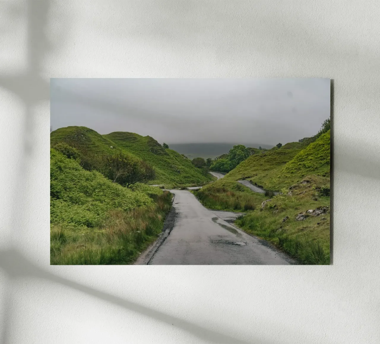 Winding Wilderness alluminio dibond da Lena Stamm