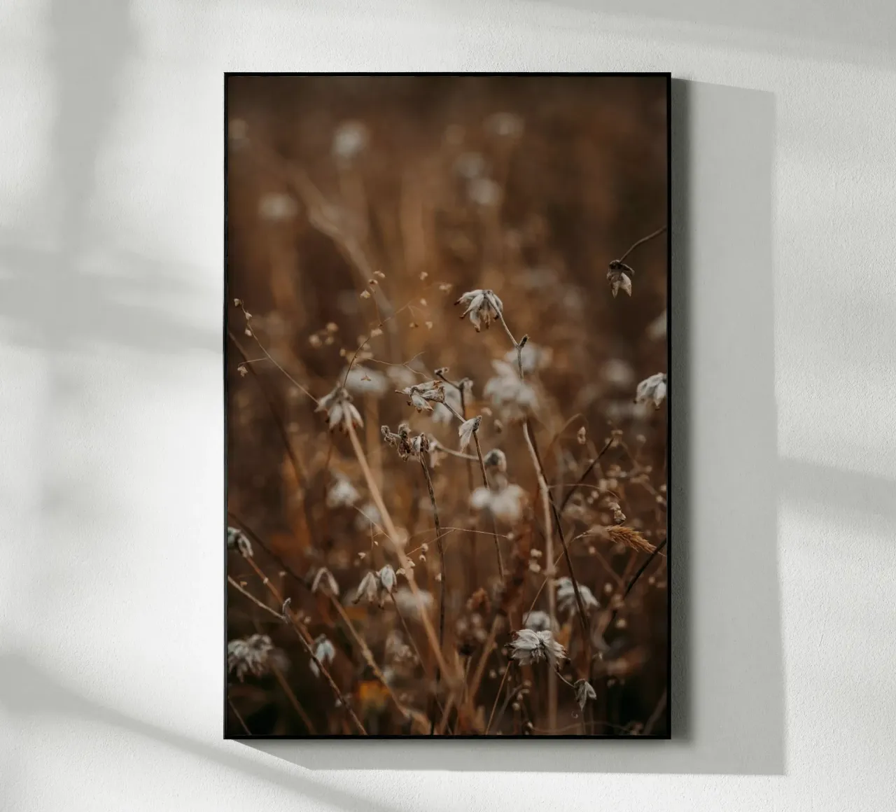 Meadow Glow plexiglass da Lena Stamm