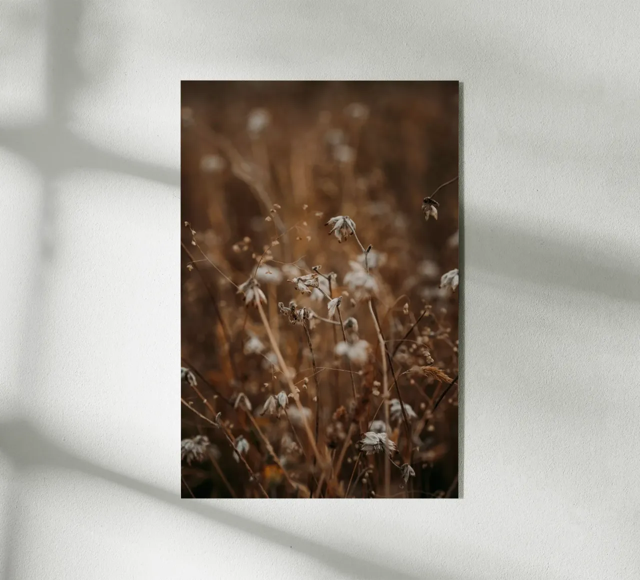 Meadow Glow plexiglass da Lena Stamm