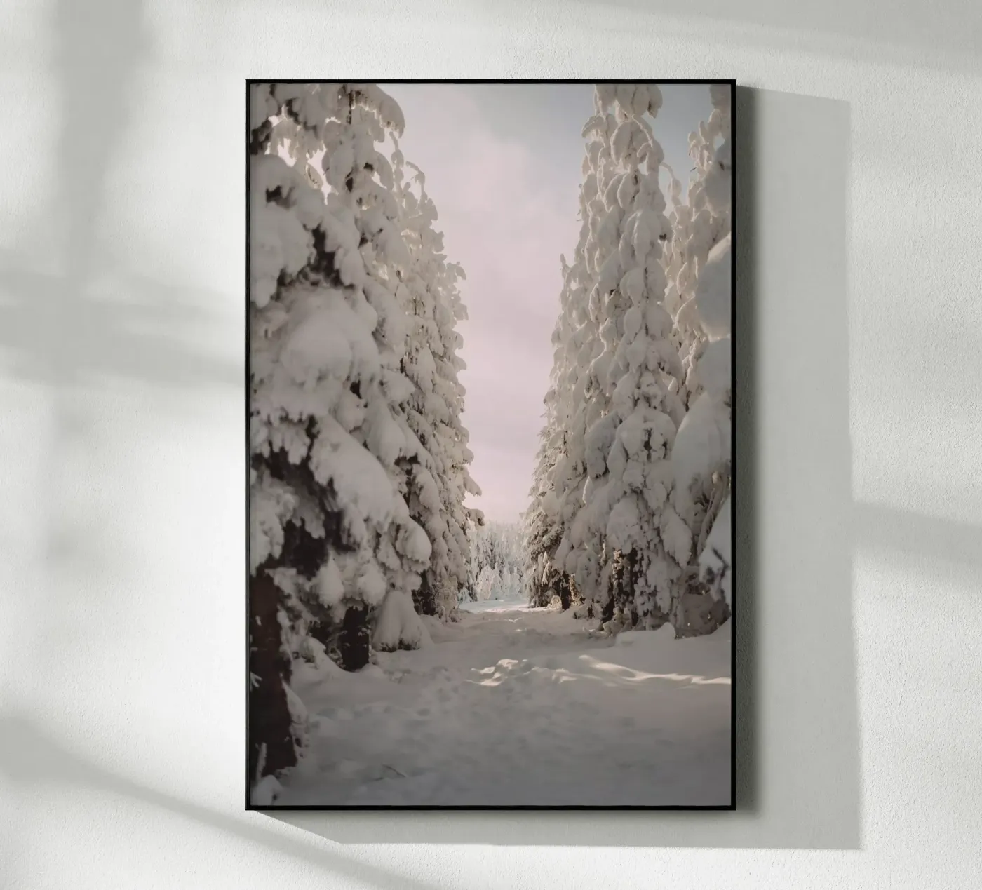 A Winter Walk acrylic glass by Lena Stamm