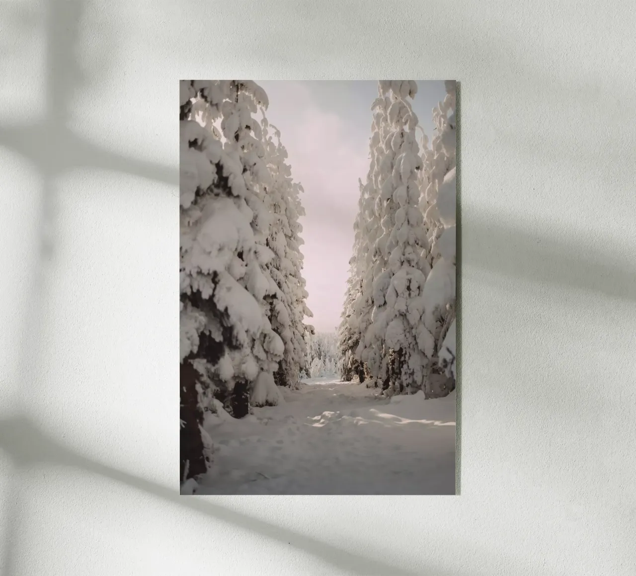 A Winter Walk plexiglass da Lena Stamm