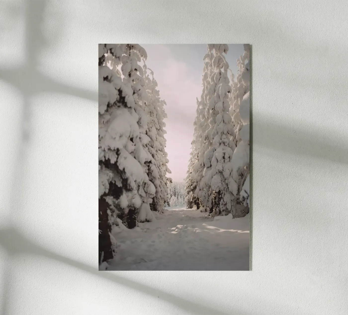 A Winter Walk acrylic glass by Lena Stamm