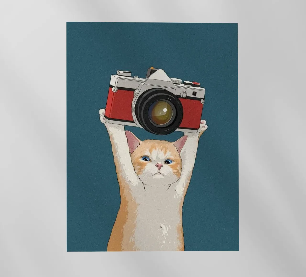 cat hold the camera pellicola backlit da Keyn