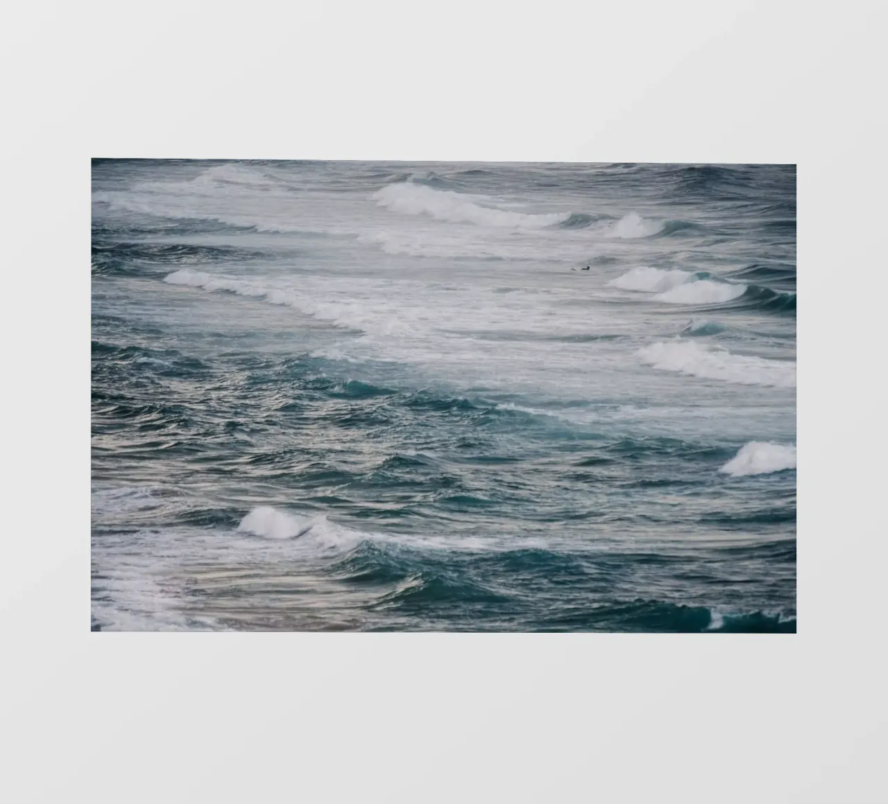 Surf invernale VI telo in pvc da Tal Paz-Fridman