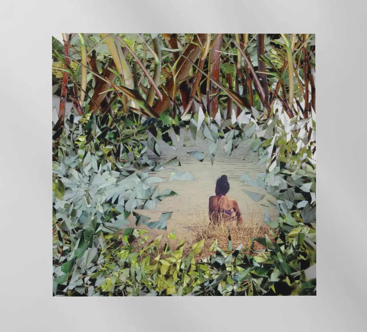 JUNGLE - Splittografielage pellicola backlit da Lilly Helja Jonasson