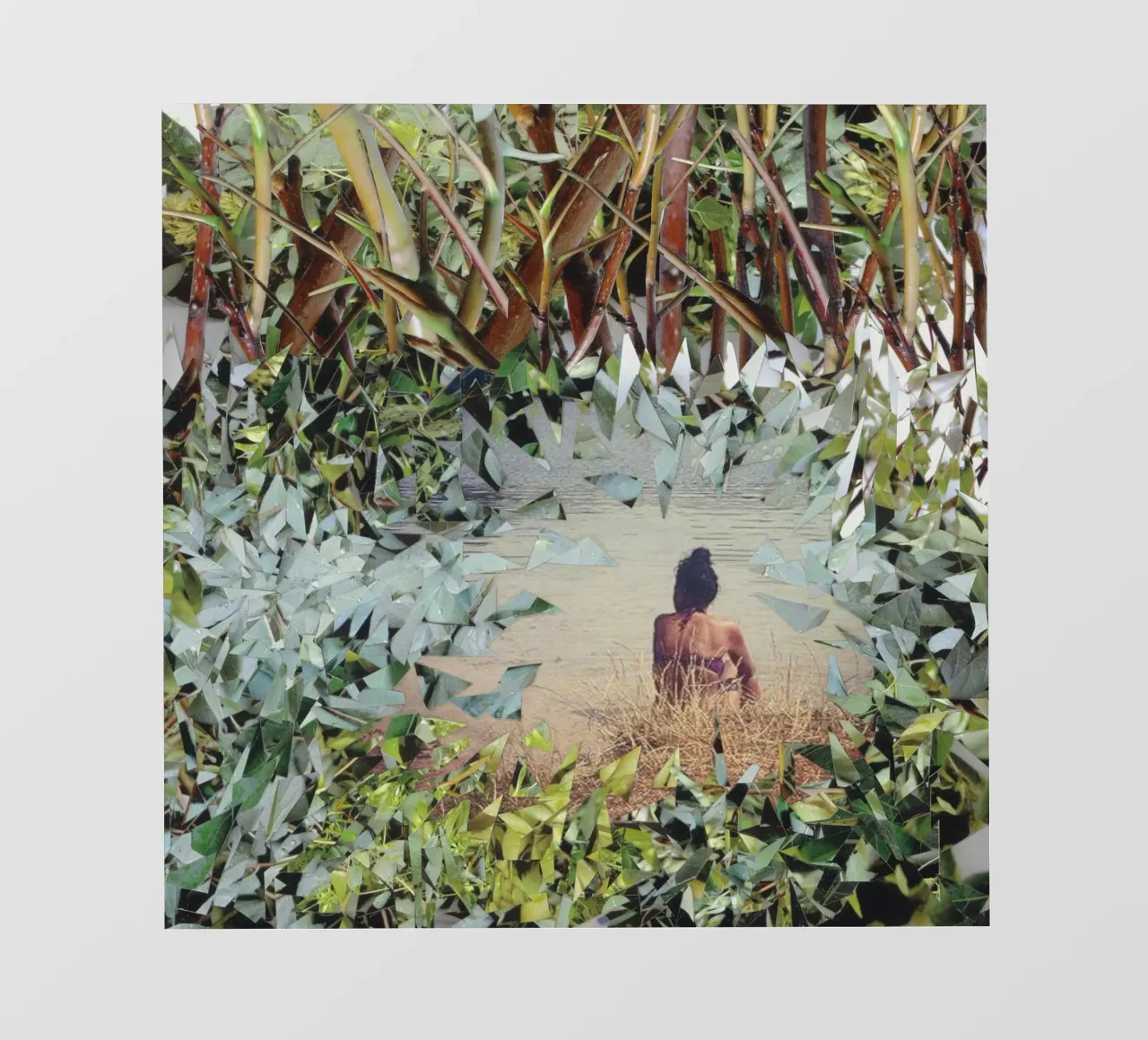 JUNGLE - Splittografielage pellicola backlit da Lilly Helja Jonasson