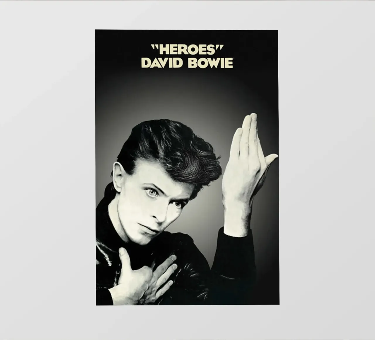 Retro david bowie telo in pvc da dooley