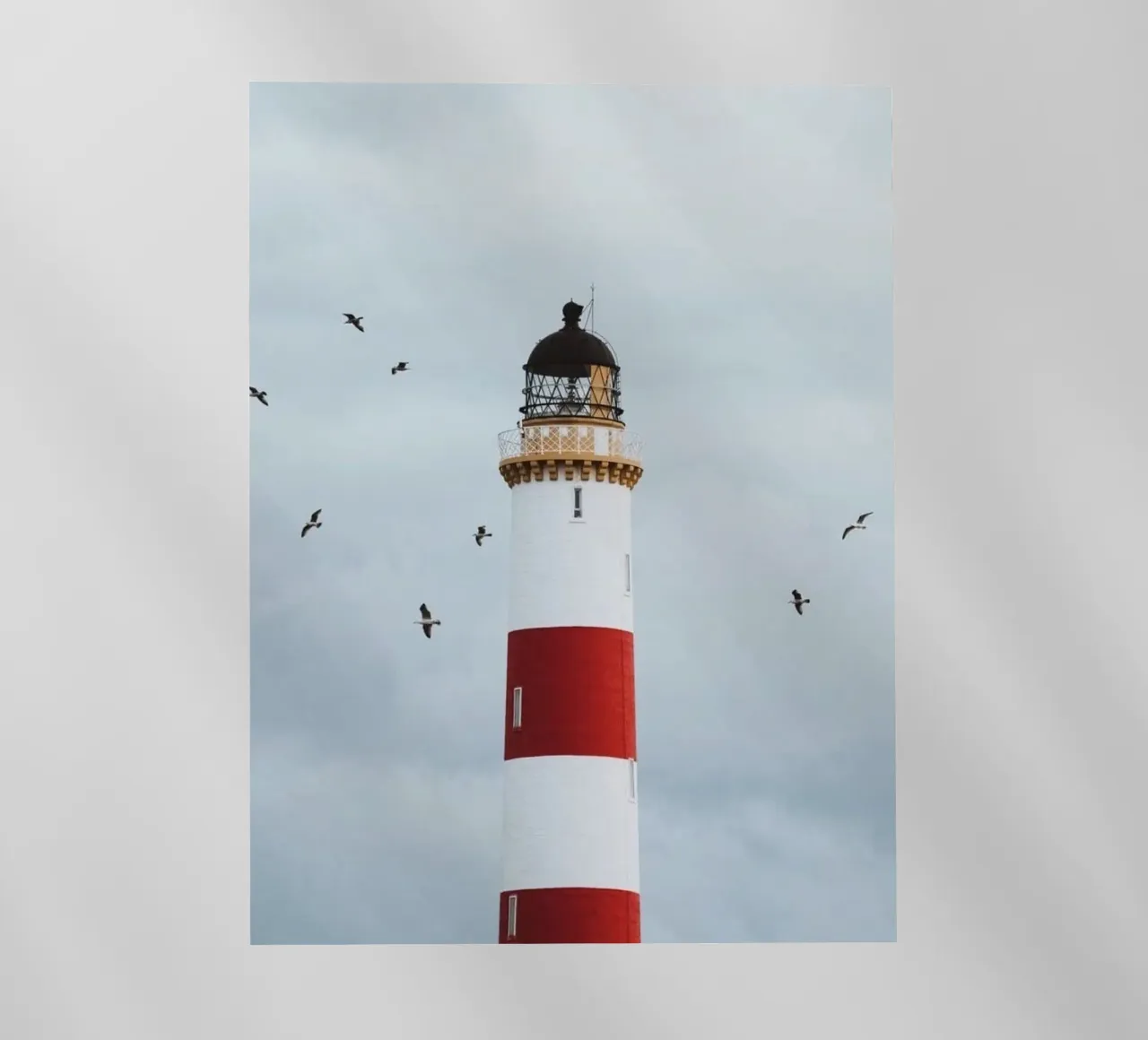 lighthouse with birds pellicola backlit da matthen