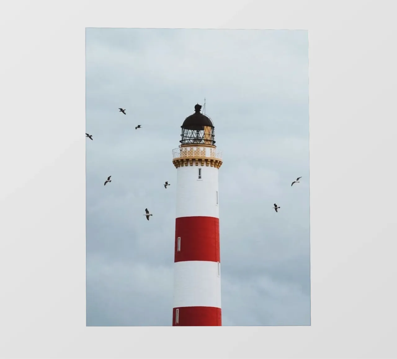 lighthouse with birds pellicola backlit da matthen