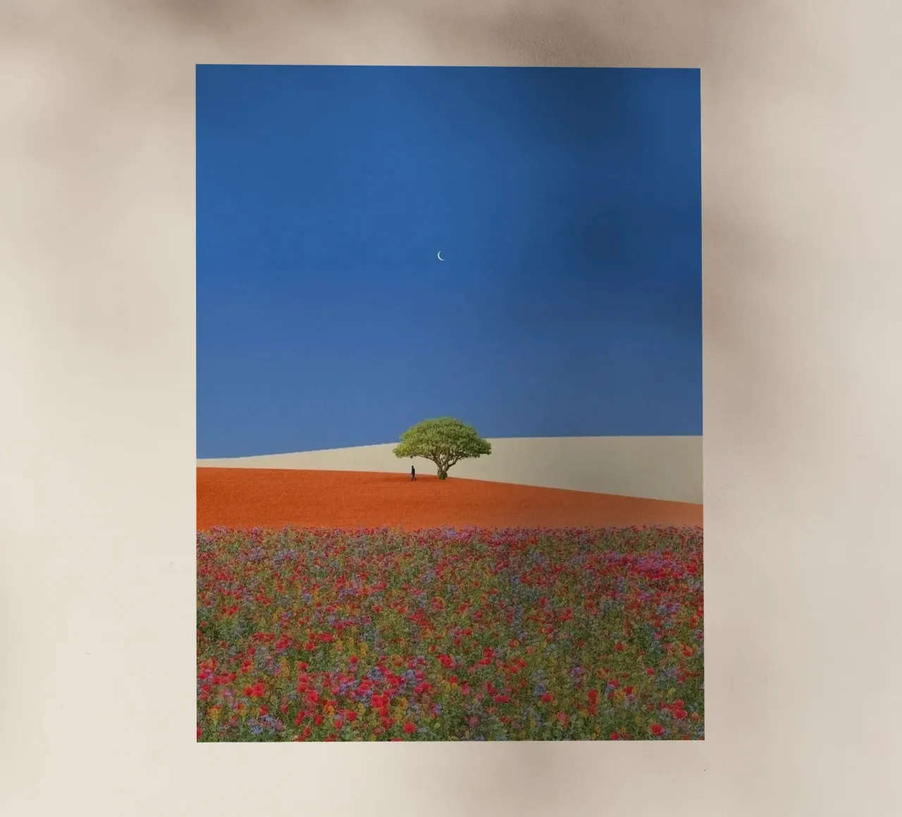 single tree in giant hill pellicola backlit da andern