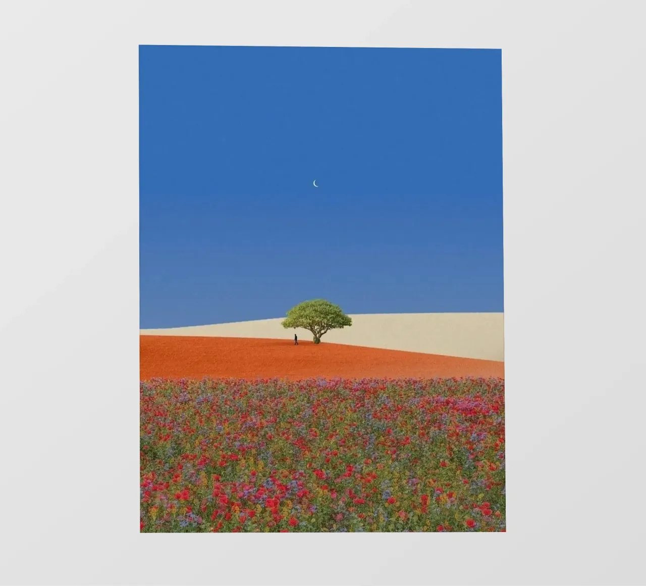 single tree in giant hill pellicola backlit da andern