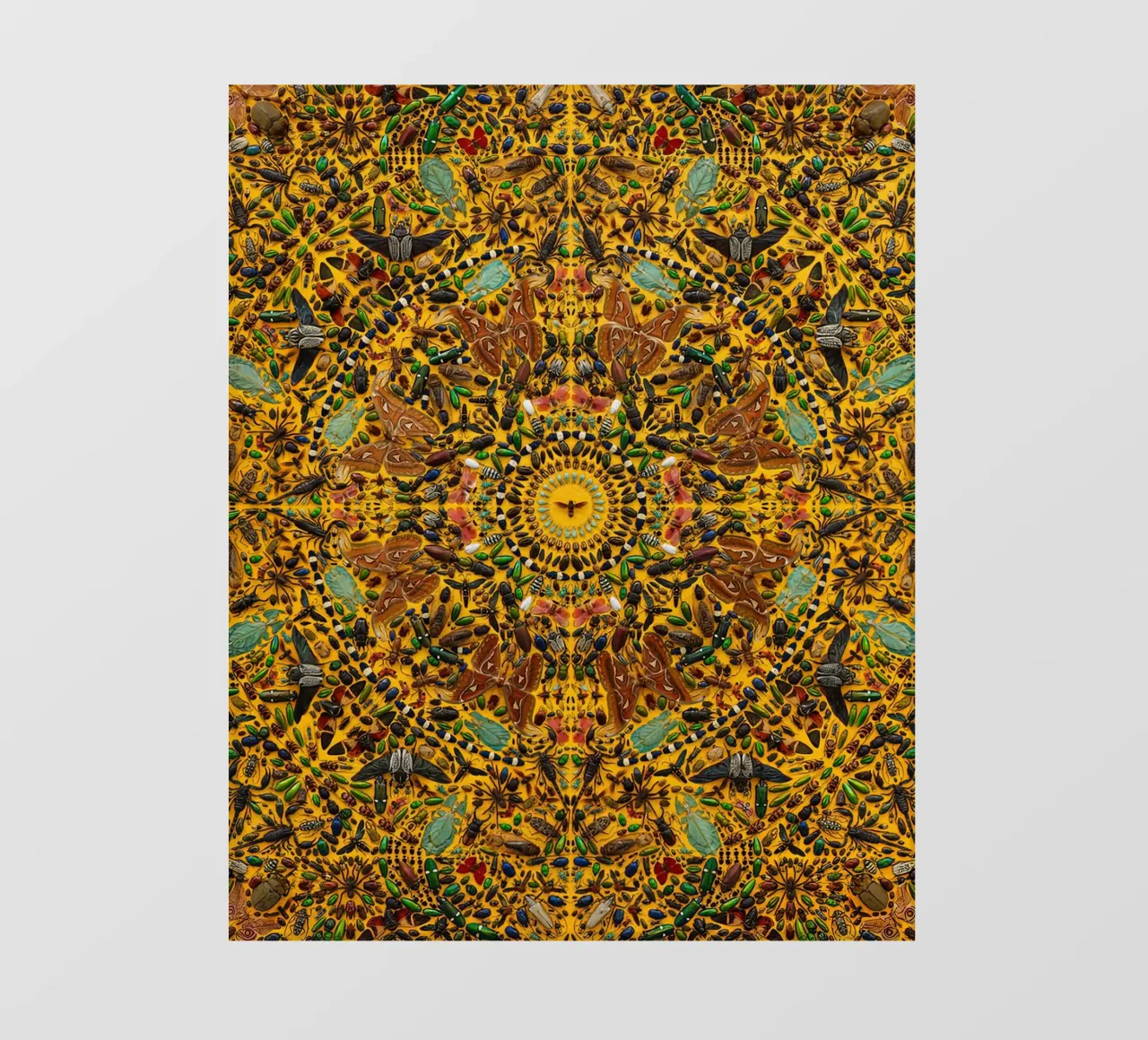 Damien HIrst Dot Color 2 pellicola backlit da Palletolate