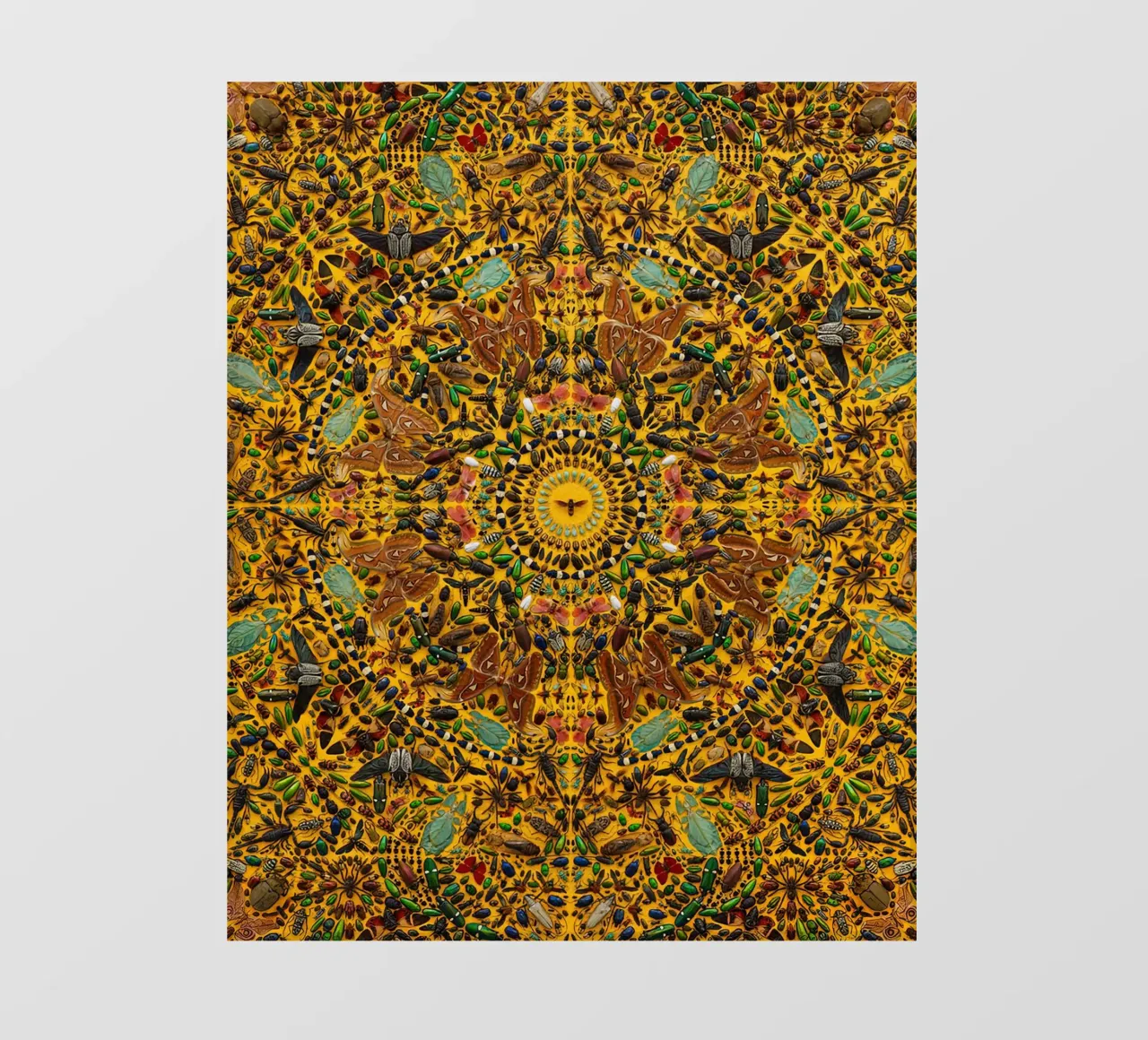 Damien HIrst Dot Color 2 telo in pvc da Palletolate
