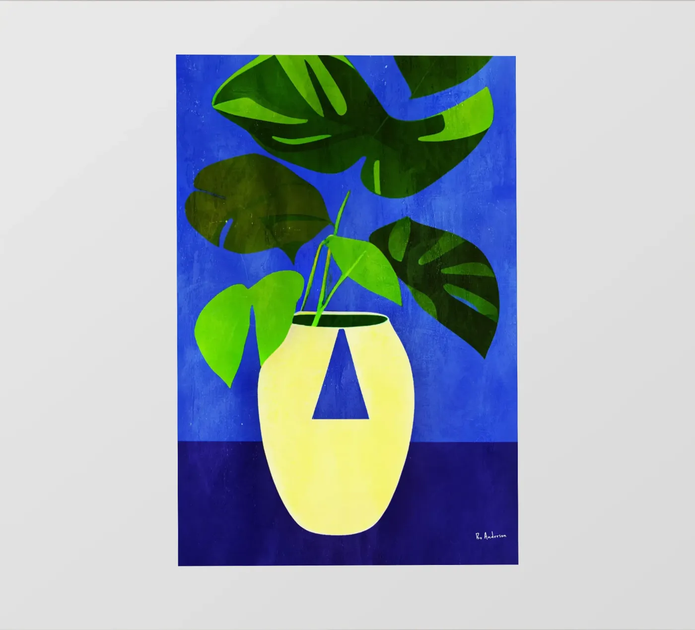 Dark Monstera pellicola backlit da Bo Anderson