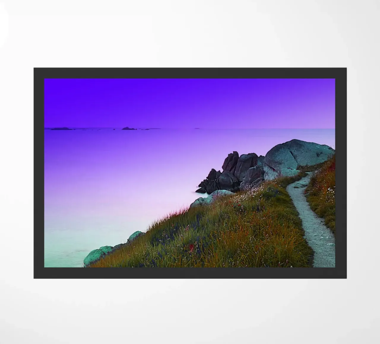 FAA361 zerbino da Thierry vobmann photography