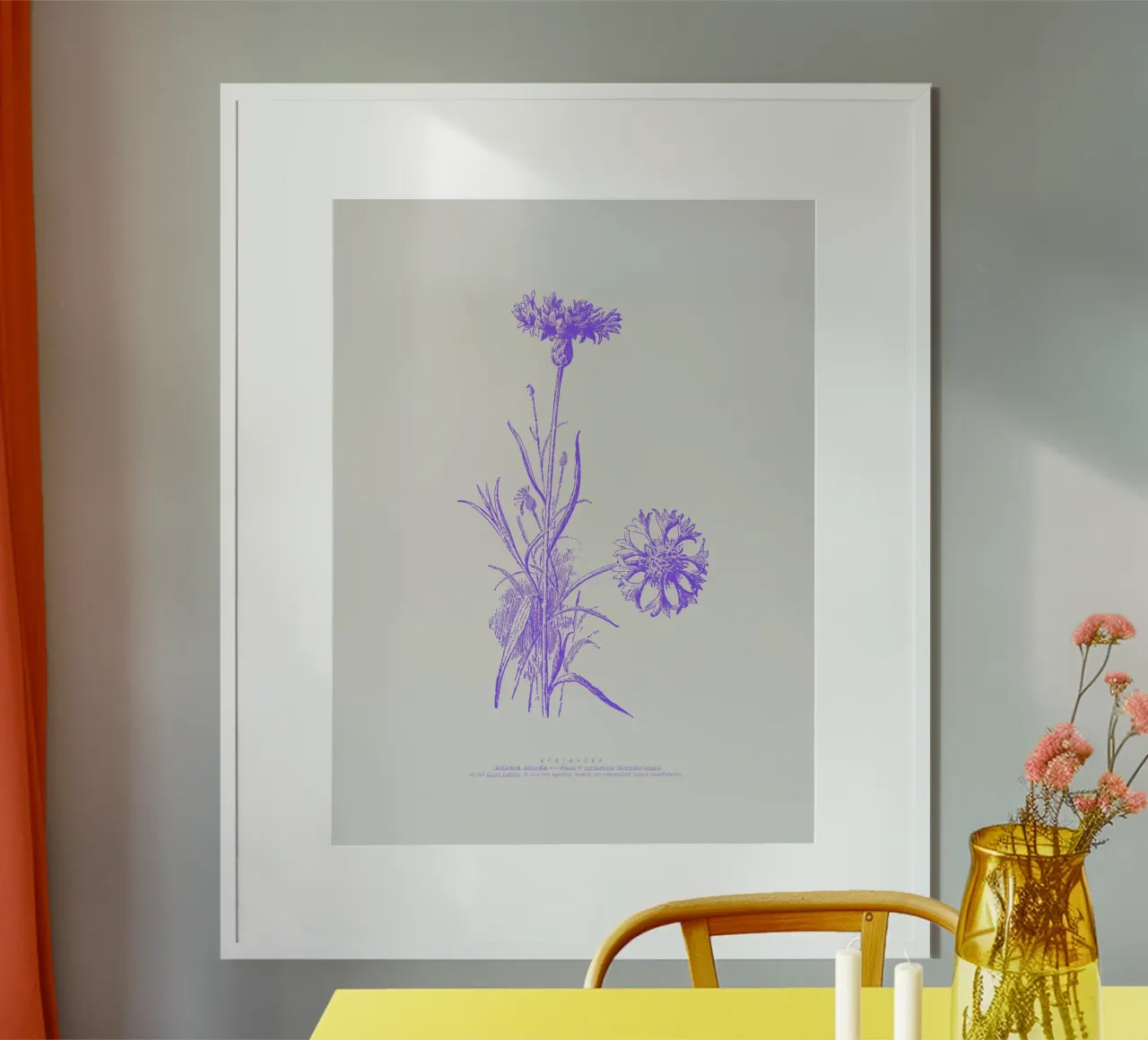 Echinacea poster da PurePeachStudio