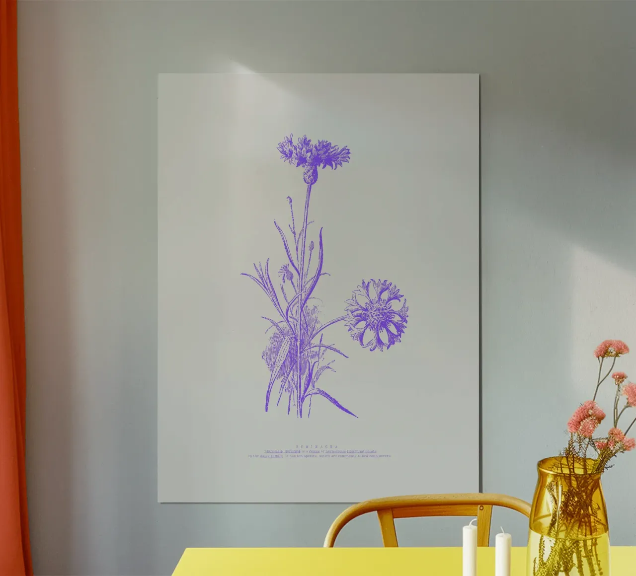 Echinacea poster da PurePeachStudio