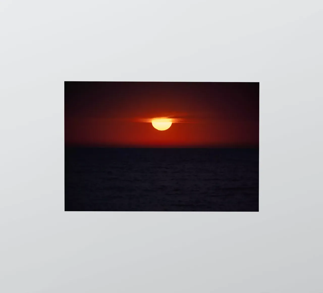 Sun _ Down sticker by Tal Paz-Fridman