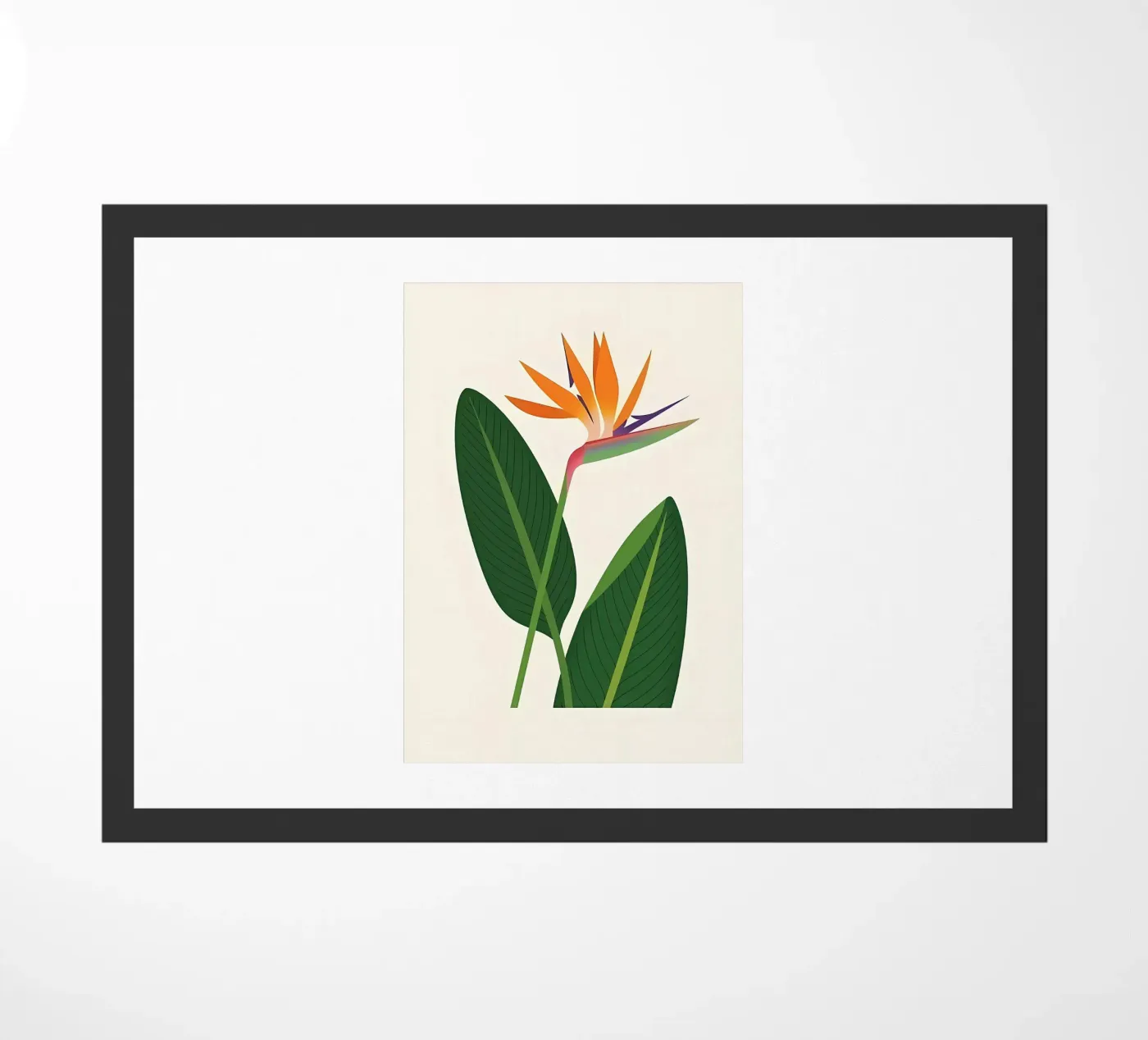Fiore d'oro zerbino da Jose