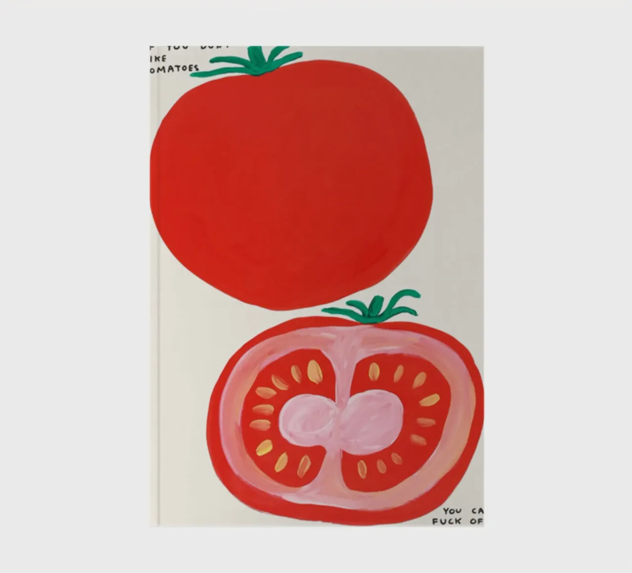 If You Don't Like Tomatoes - David Shrigley Poster notebook by Annie